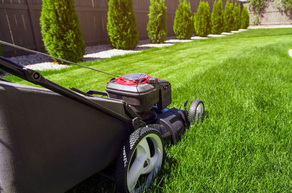The Best Landscaping Practices to Carry Out at Home