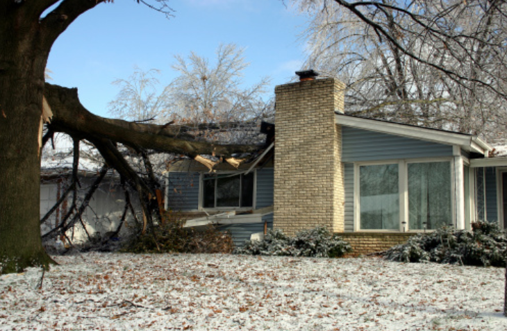 fallen tree on a house