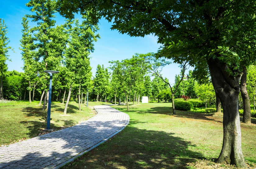 open space